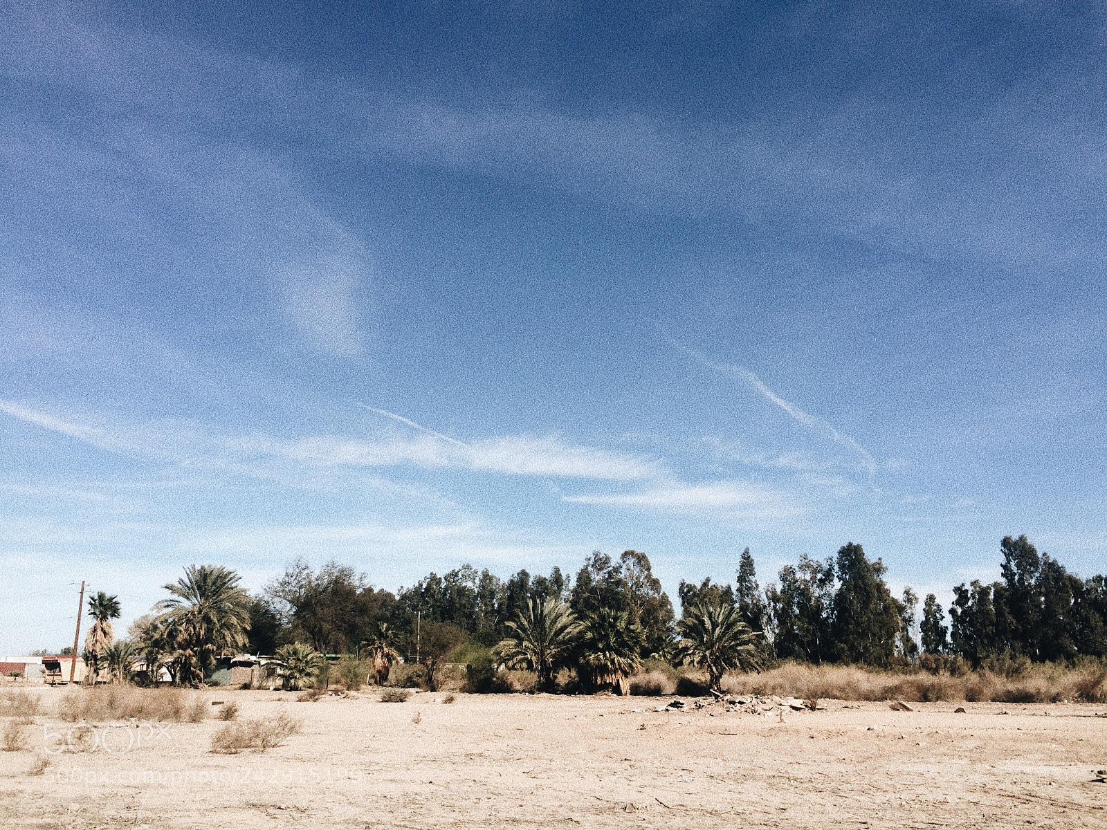 Apple iPhone 5s sample photo. Untitled photography