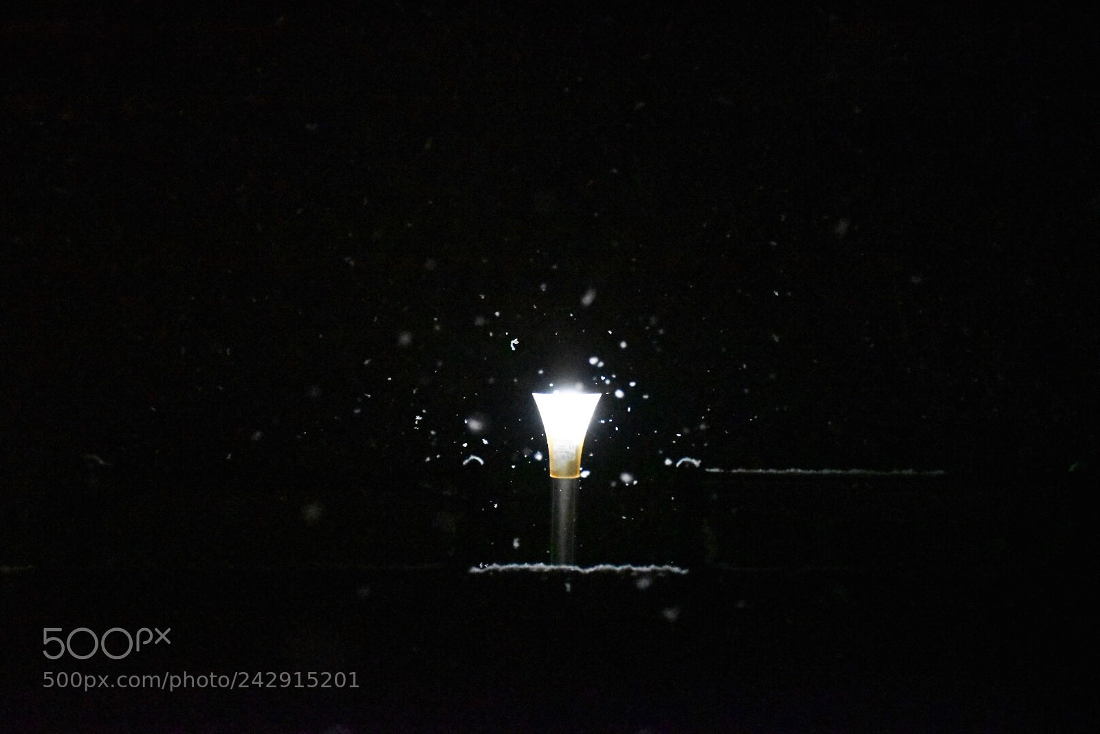 Nikon D5500 sample photo. Snow and black photography
