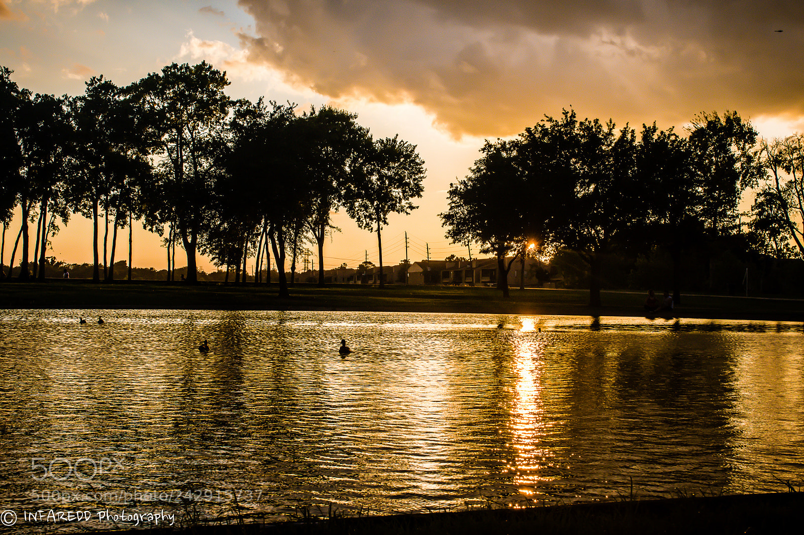 Nikon D5500 sample photo. Golden nights photography