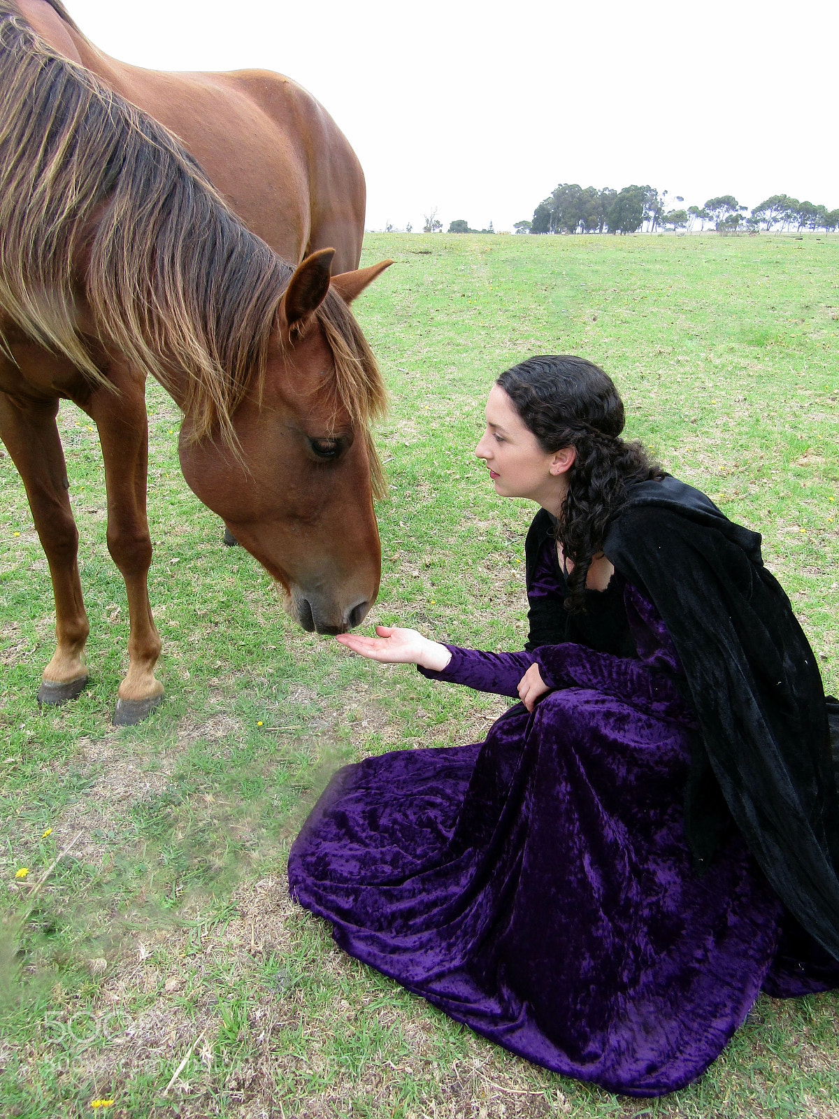 Canon PowerShot SX420 IS sample photo. Girl and horse photography