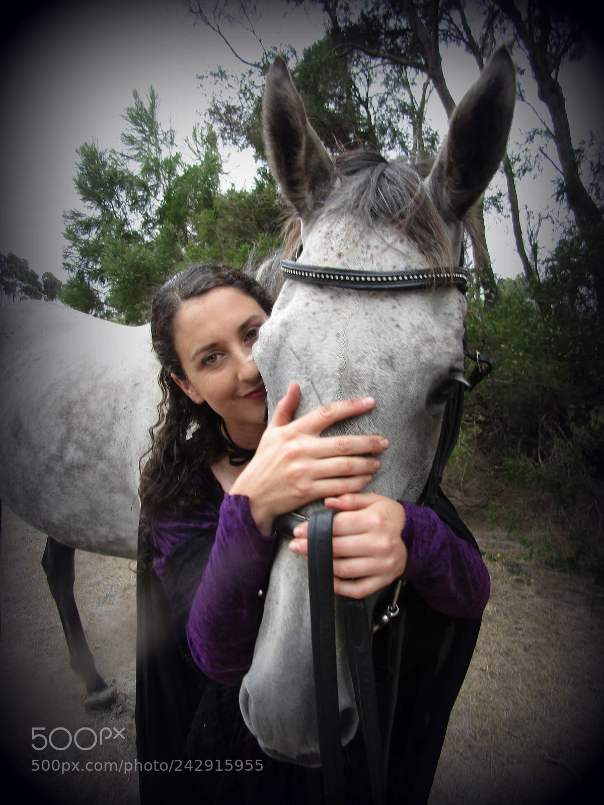 Canon PowerShot SX420 IS sample photo. Girl and horse photography