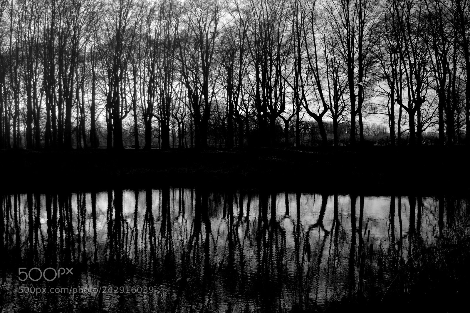 Nikon D3200 sample photo. Reflect photography