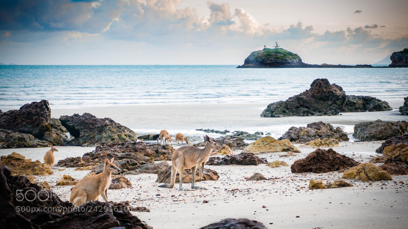 Sony a6300 sample photo. Cape hillsborough photography