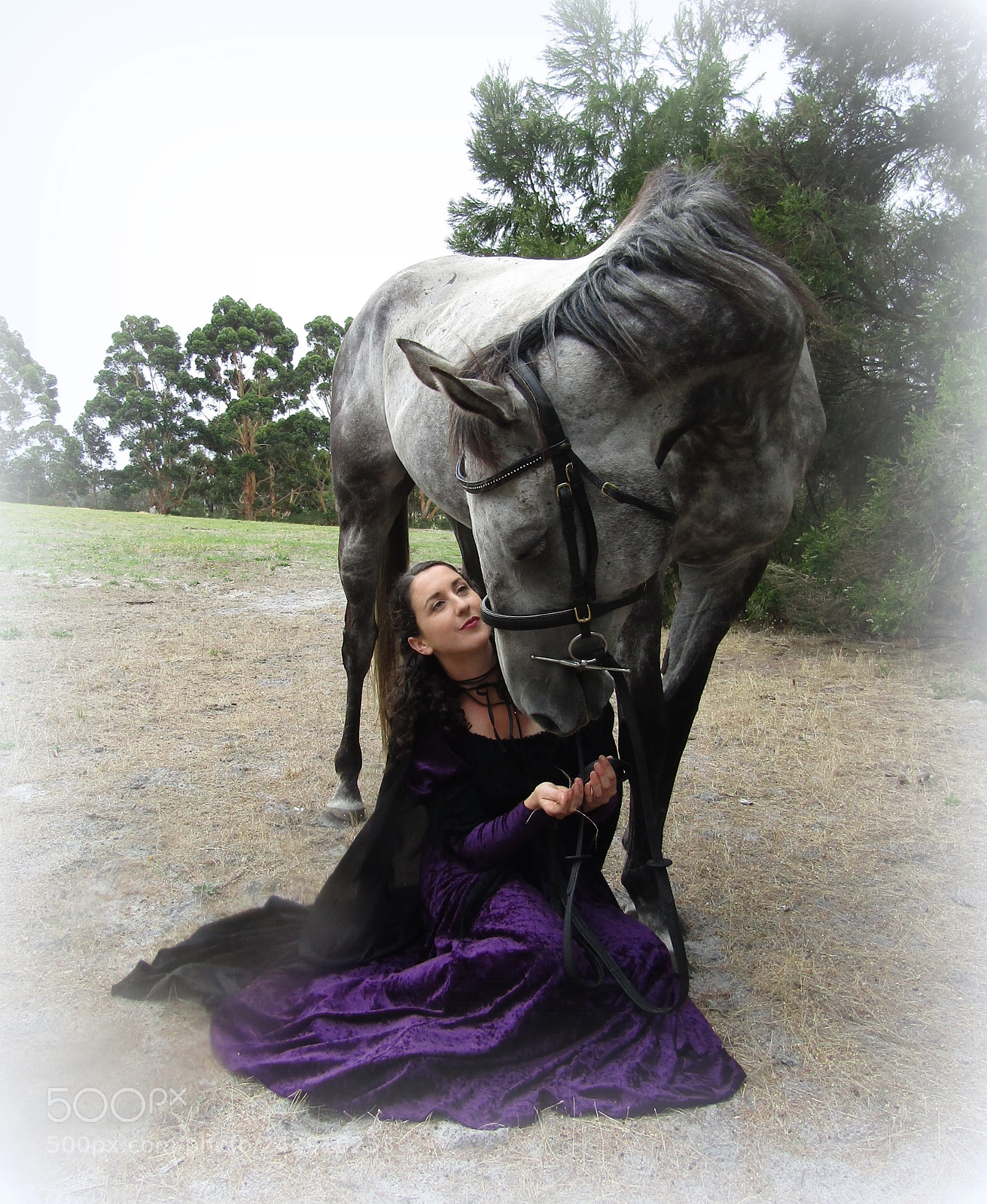 Canon PowerShot SX420 IS sample photo. Girl and horse photography