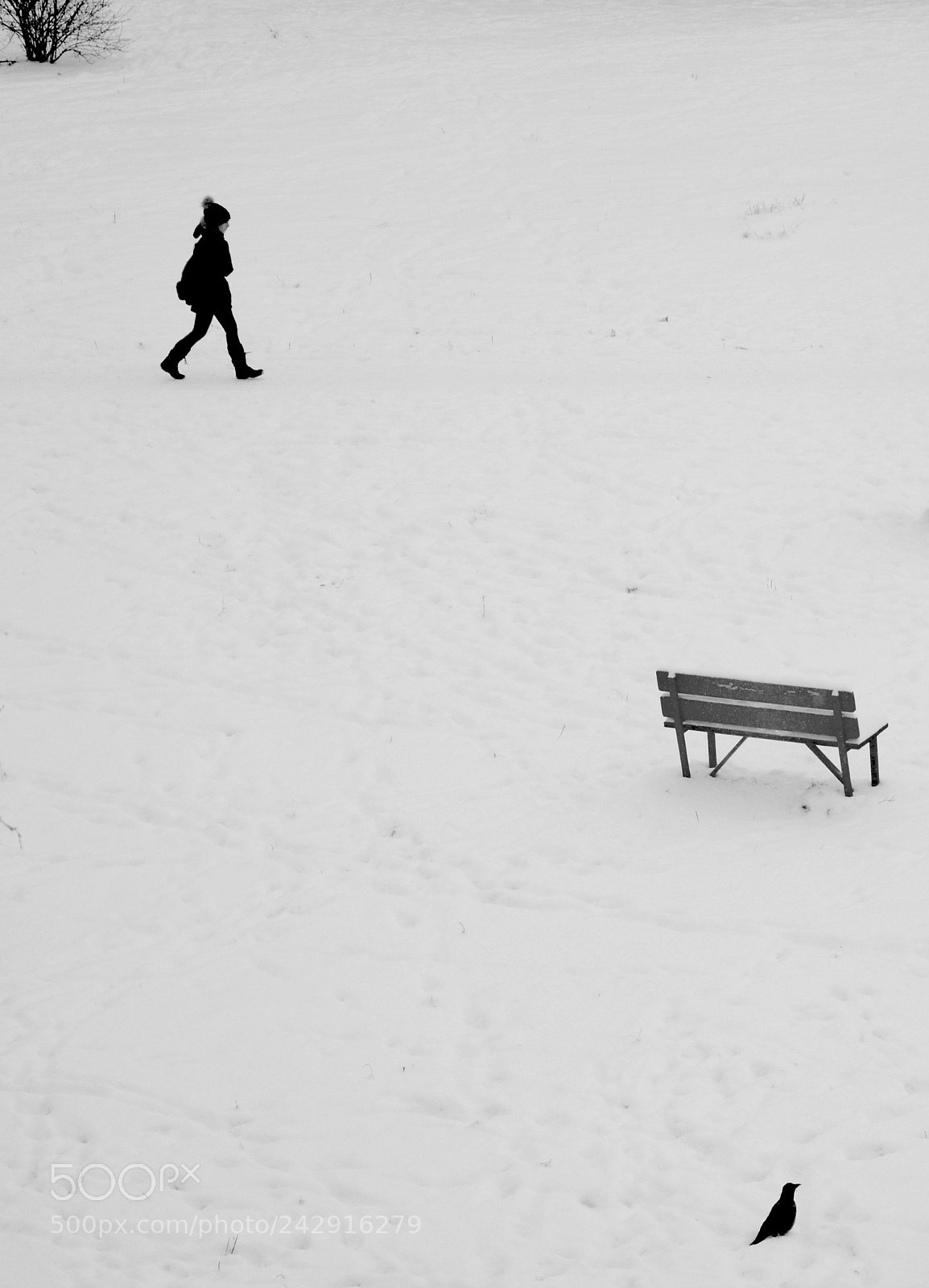 Nikon D3200 sample photo. Зима из моего окна photography