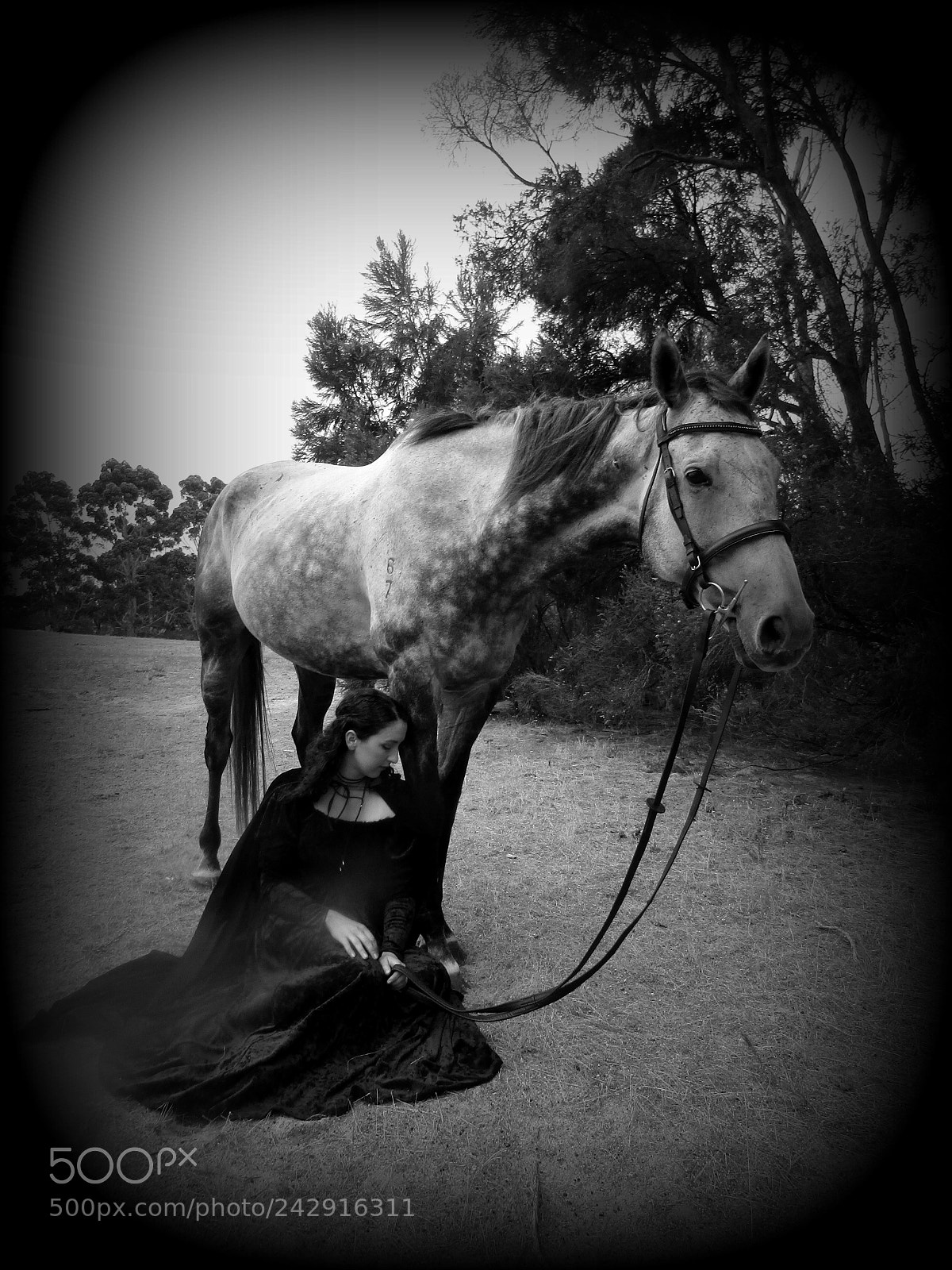 Canon PowerShot SX420 IS sample photo. Girl and horse photography