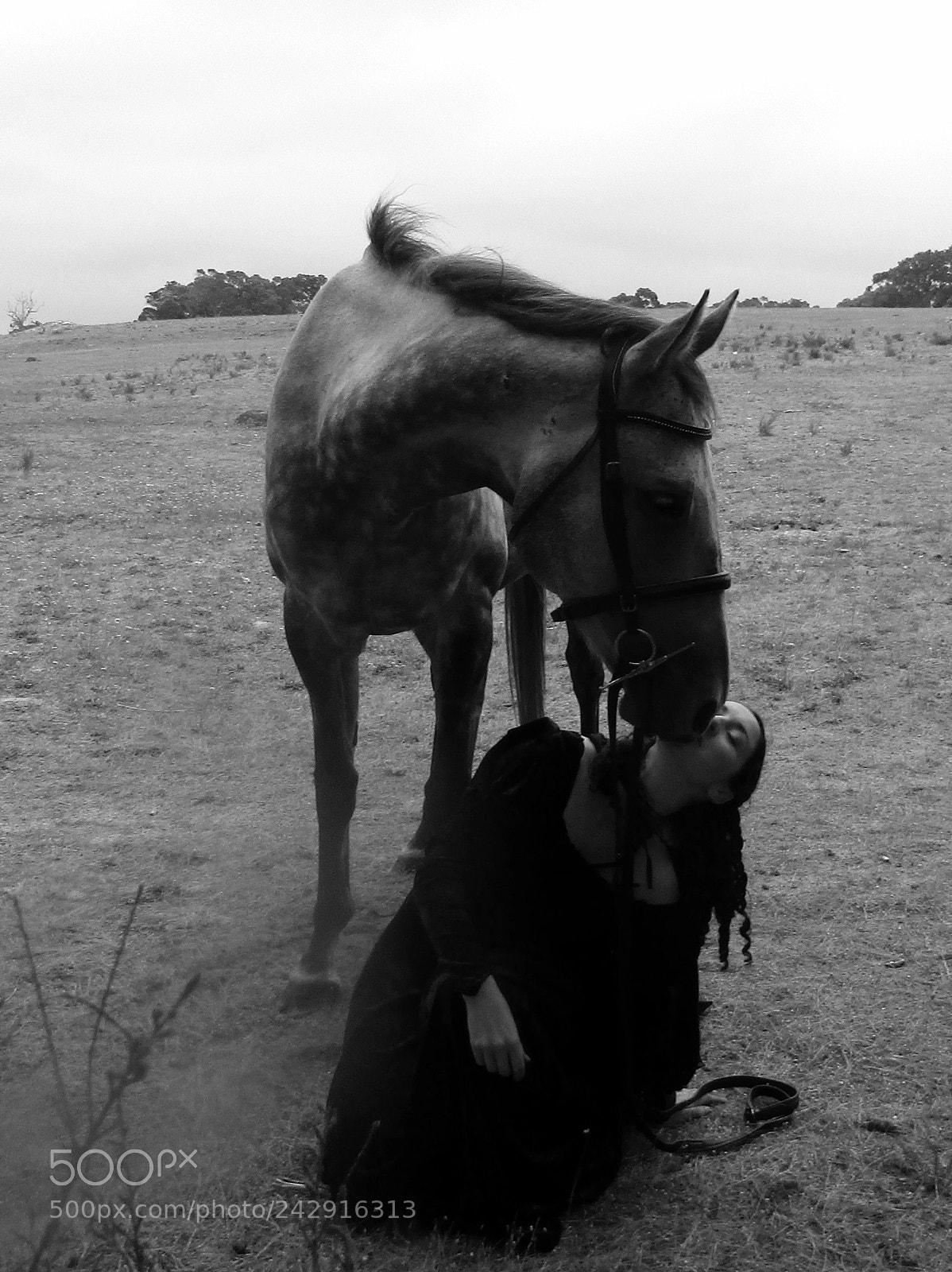 Canon PowerShot SX420 IS sample photo. Girl and horse photography