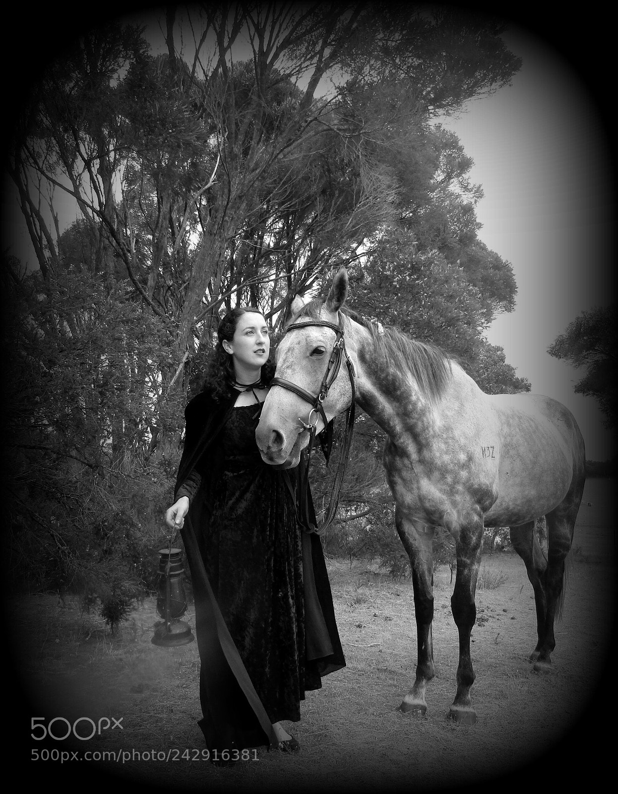 Canon PowerShot SX420 IS sample photo. Girl and horse photography