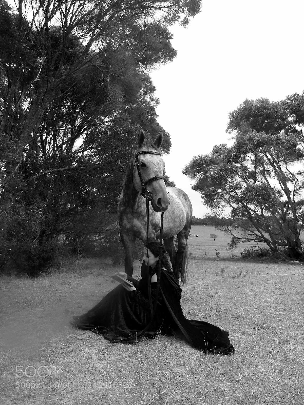 Canon PowerShot SX420 IS sample photo. Girl and horse photography