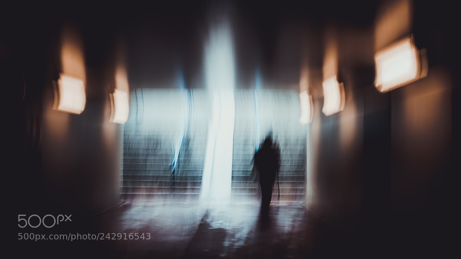 Sony a7R II sample photo. Dsc photography