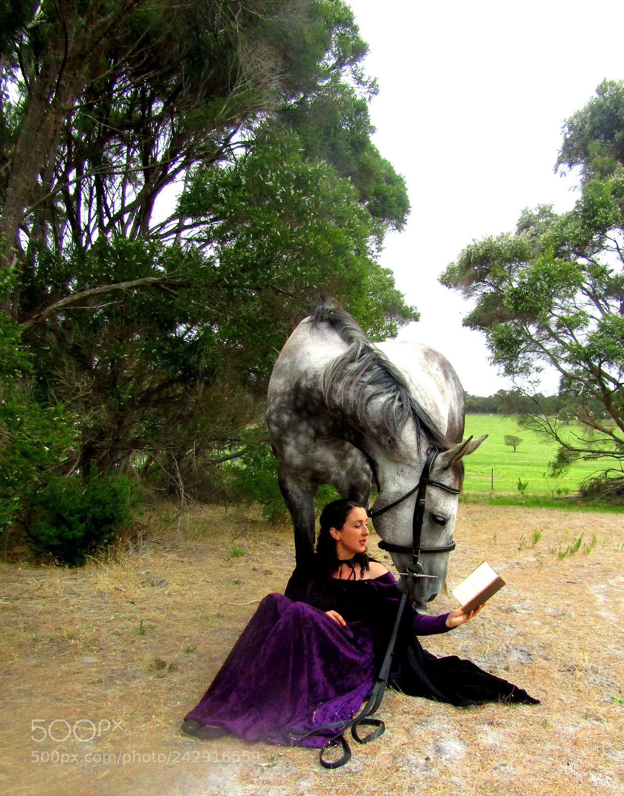 Canon PowerShot SX420 IS sample photo. Girl and horse photography