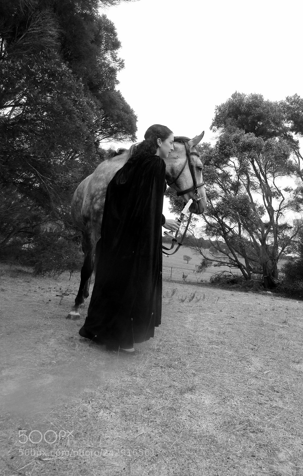 Canon PowerShot SX420 IS sample photo. Girl and horse photography