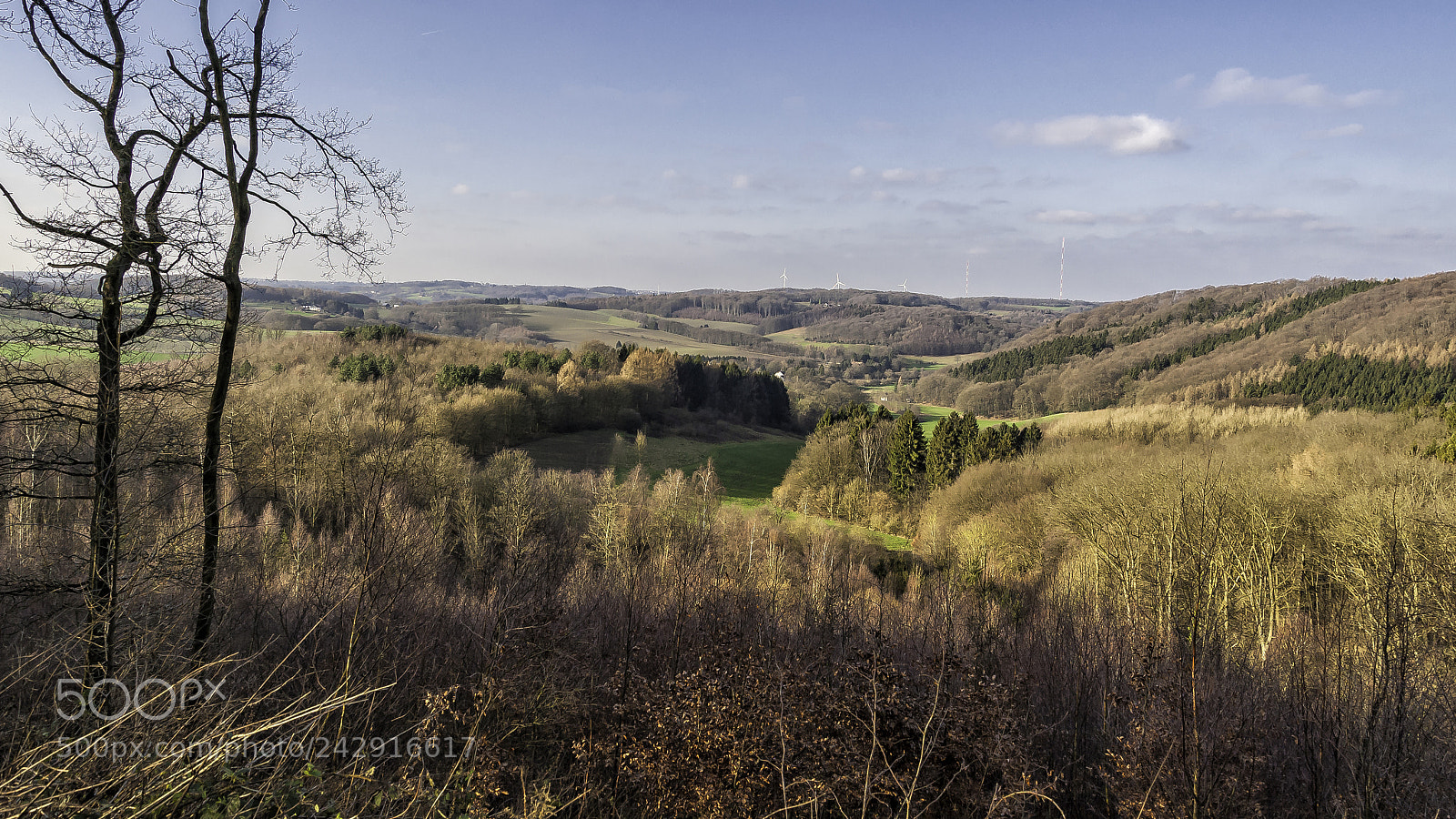 Nikon D700 sample photo. On a sunny winter photography
