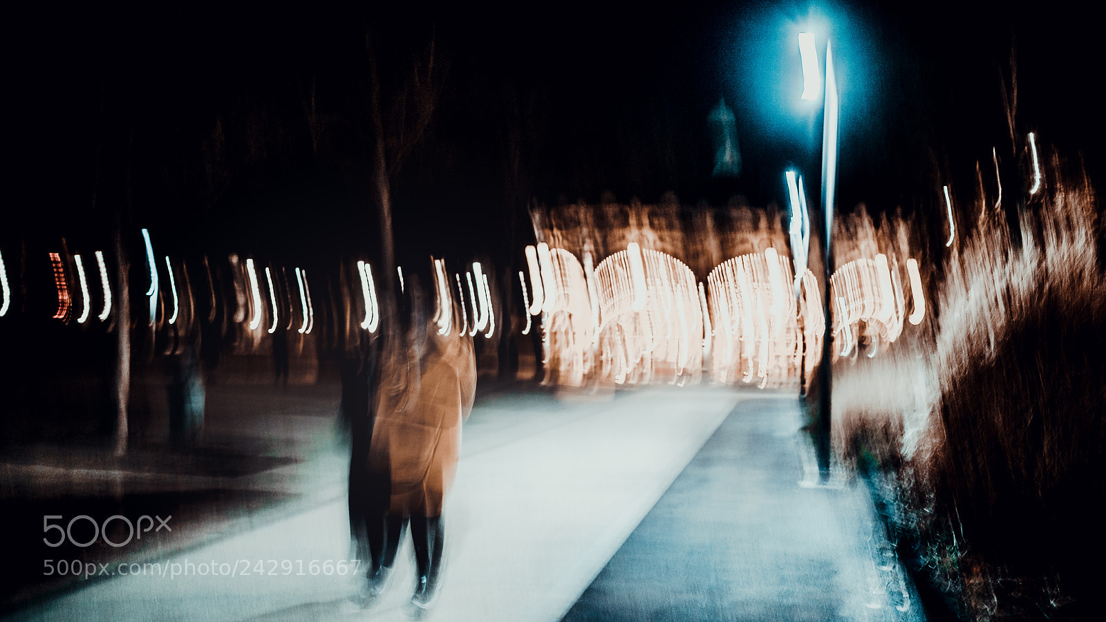 Sony a7R II sample photo. Dsc photography