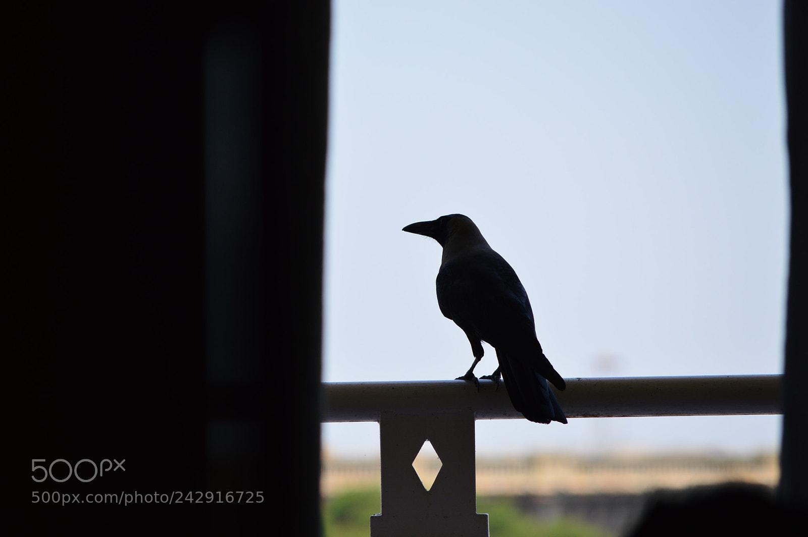 Nikon D3200 sample photo. I am the one photography