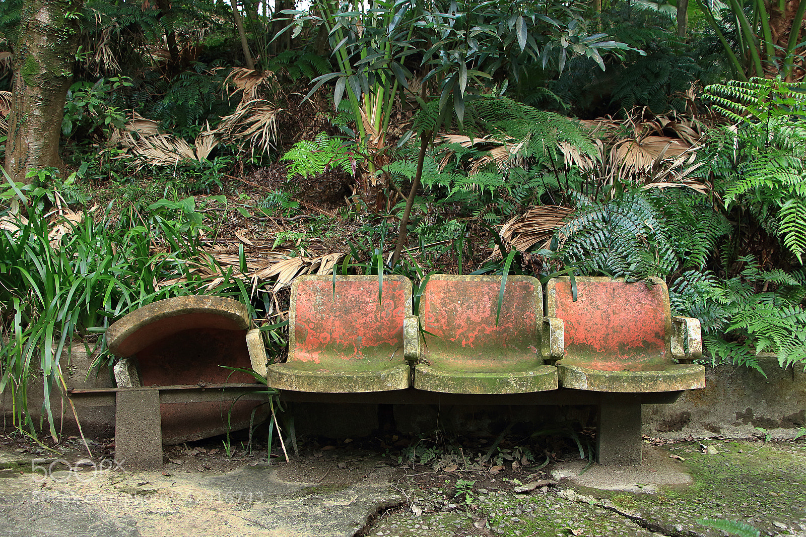 Canon EOS 650D (EOS Rebel T4i / EOS Kiss X6i) sample photo. #have_a_seat photography
