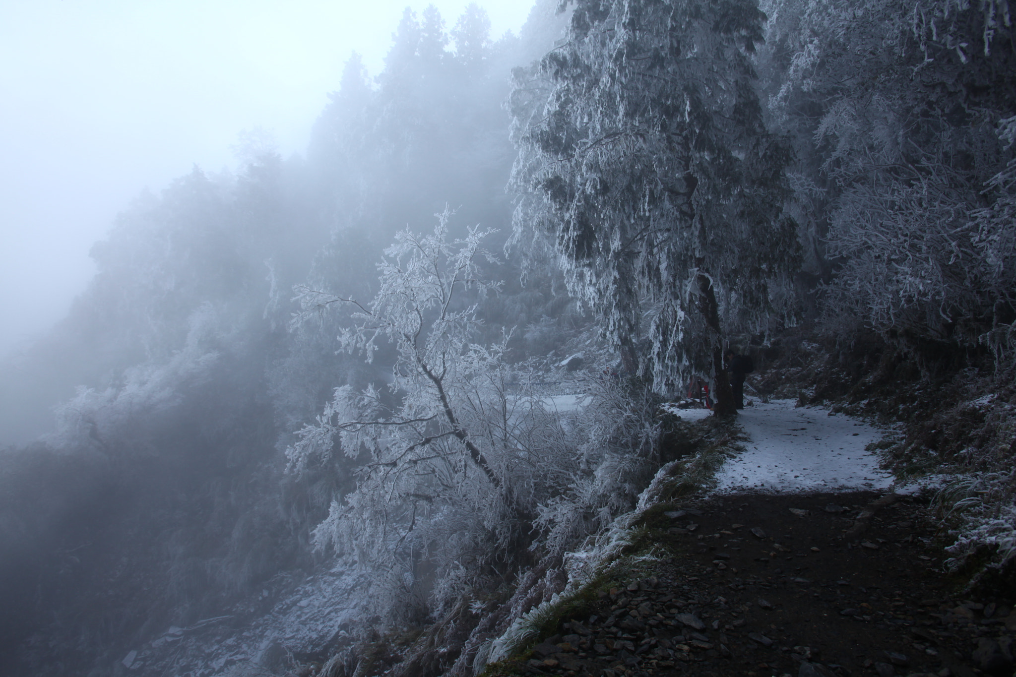 Canon EOS 5D Mark II sample photo. Taiping mt. national forest recreation area photography