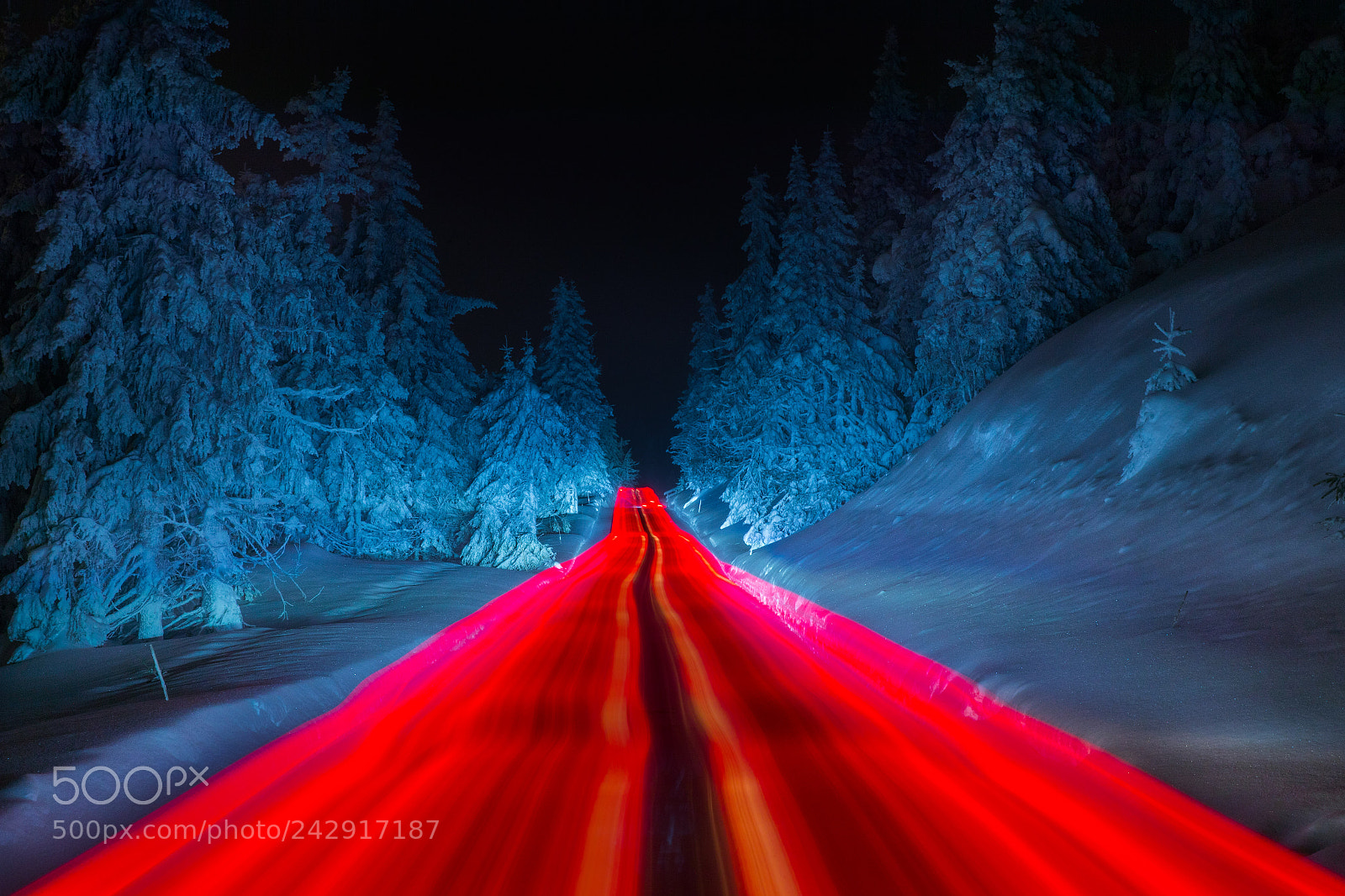 Canon EOS-1D X Mark II sample photo. Driving into winter night photography