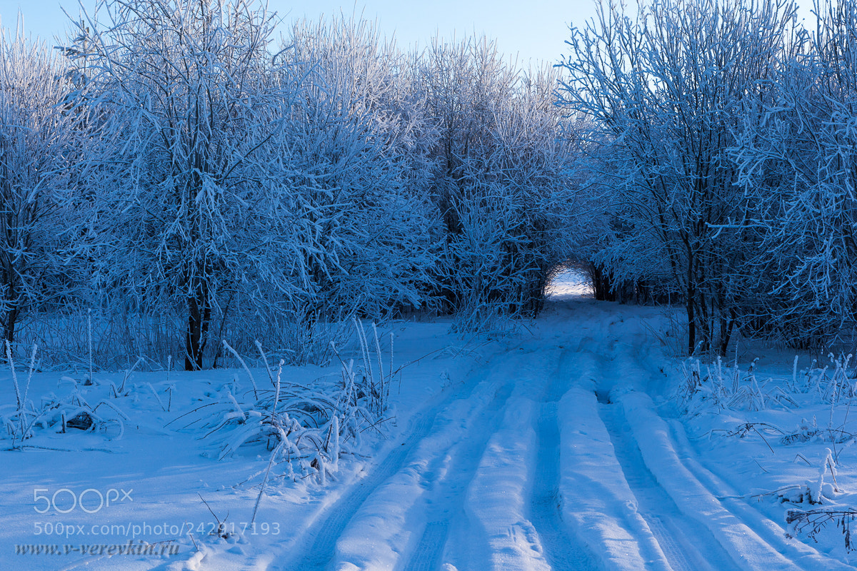 Canon EOS 5D Mark II sample photo. Winter forest road. winter photography