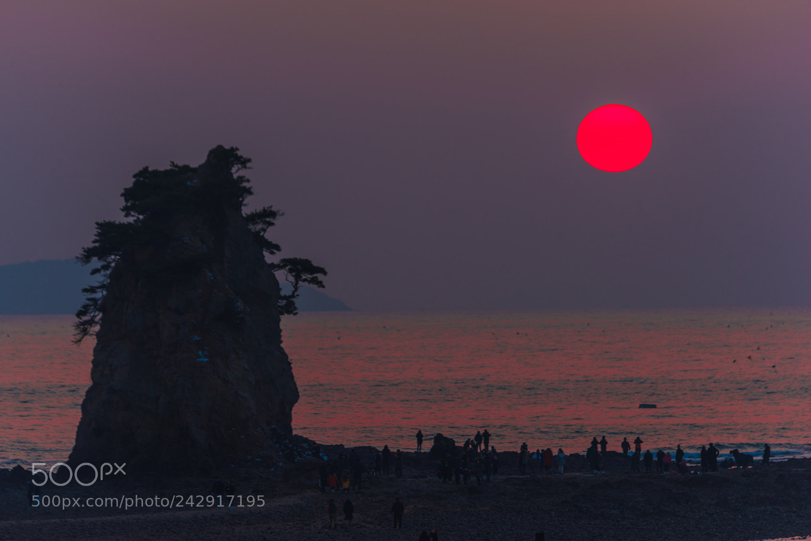 Nikon D810 sample photo. See you again tomorrow photography
