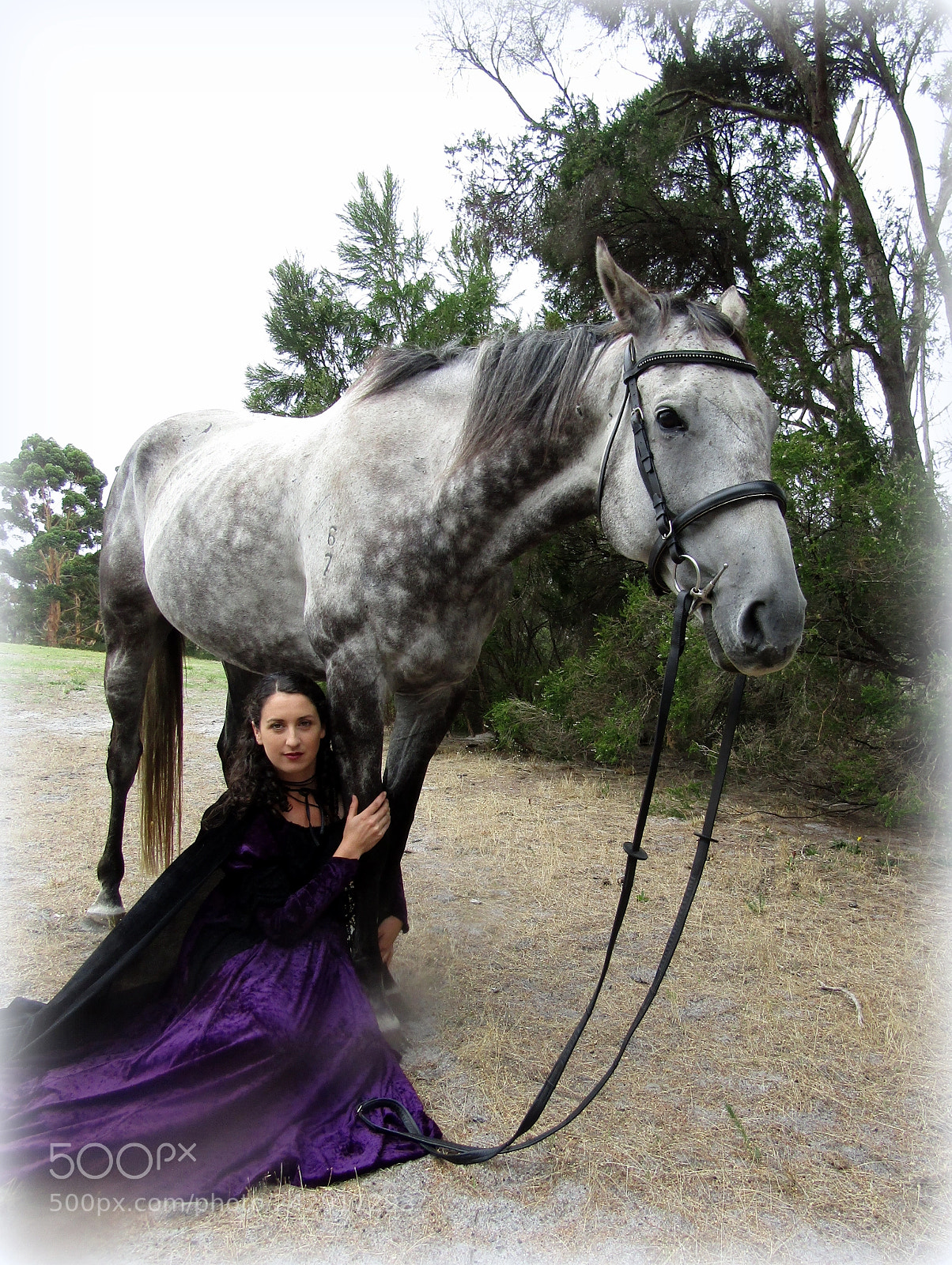 Canon PowerShot SX420 IS sample photo. Sharna and rufus photography