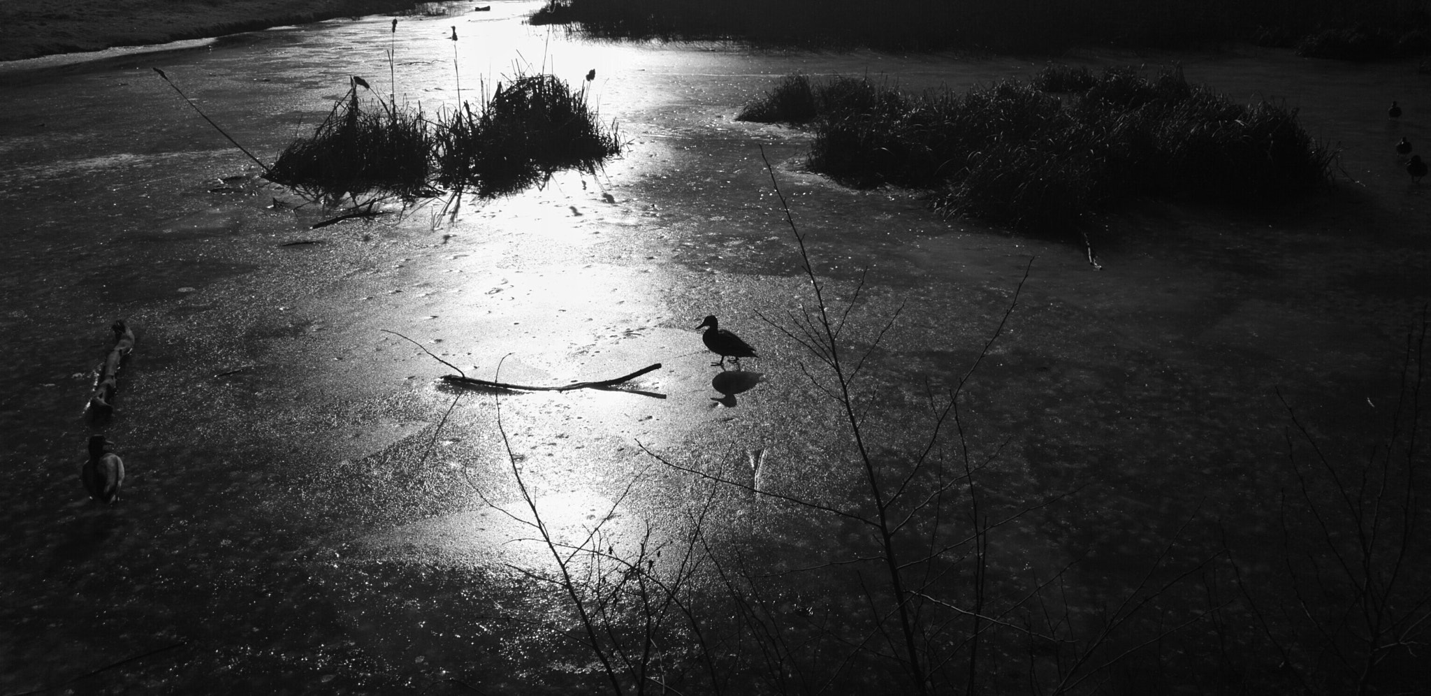 Nokia 808 PureView sample photo. Zimowy staw photography