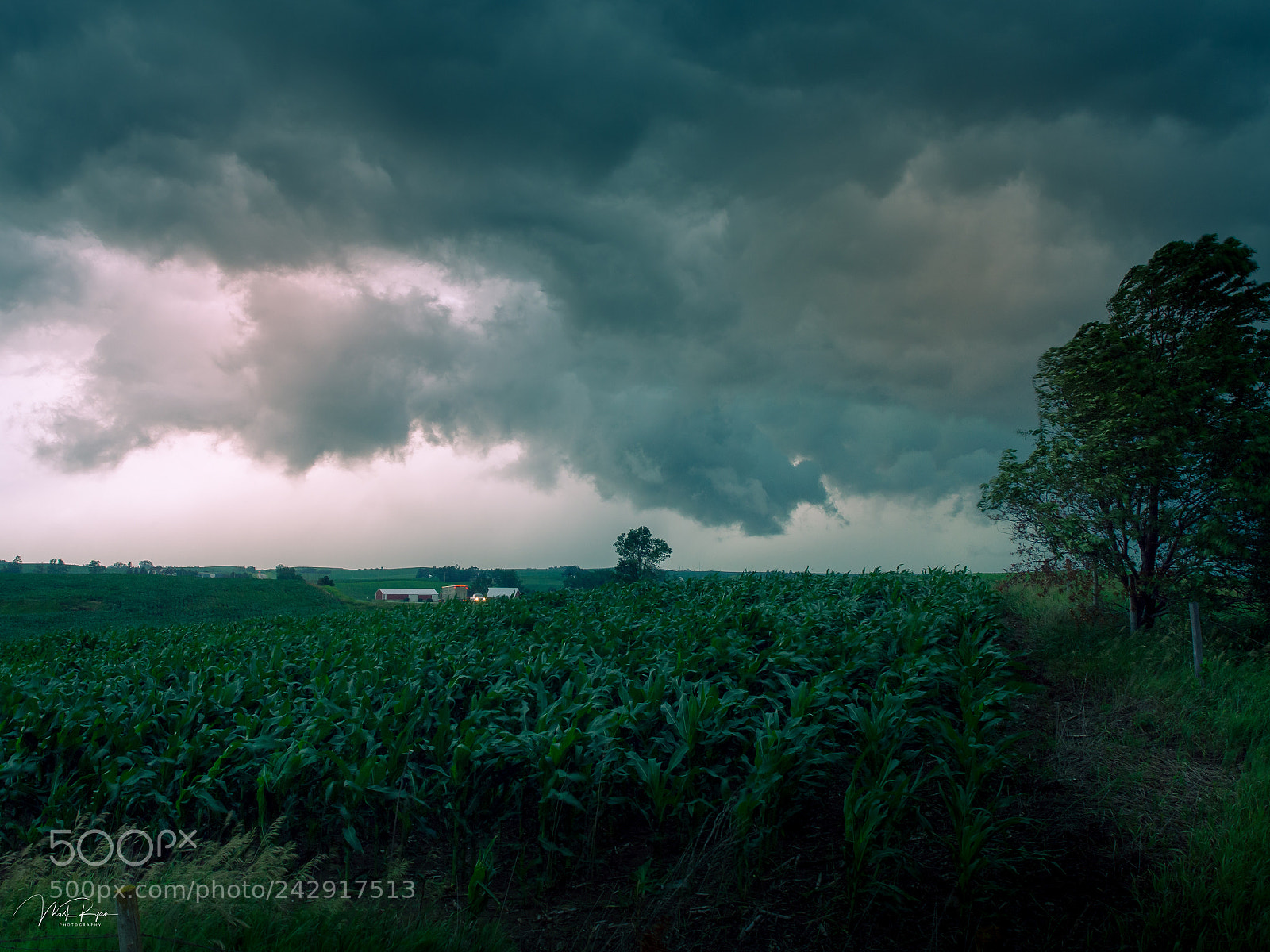 Olympus OM-D E-M5 sample photo. Tornado season photography