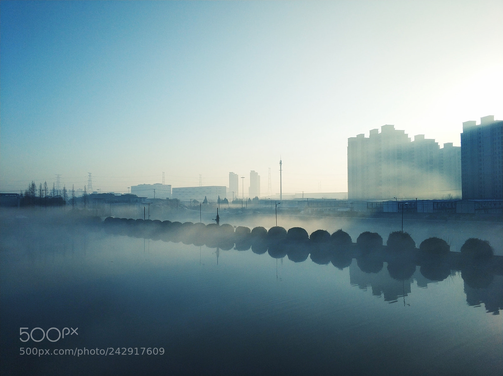 Xiaomi MI6 sample photo. Untitled photography