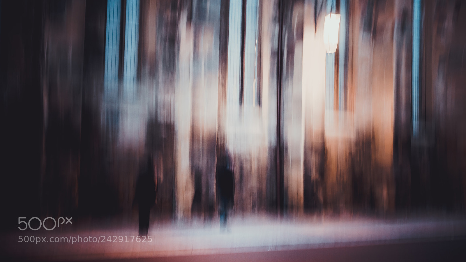 Sony a7R II sample photo. Dsc photography