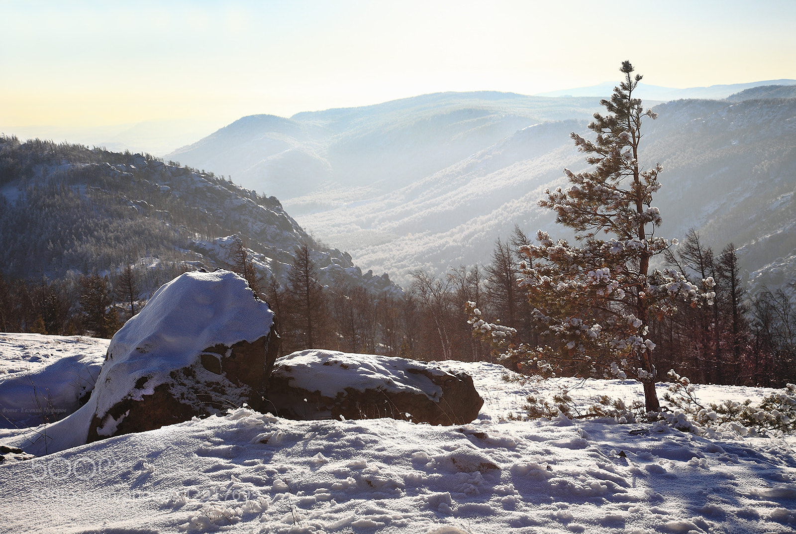 Canon EOS 5D Mark II sample photo. Winter sunny day photography