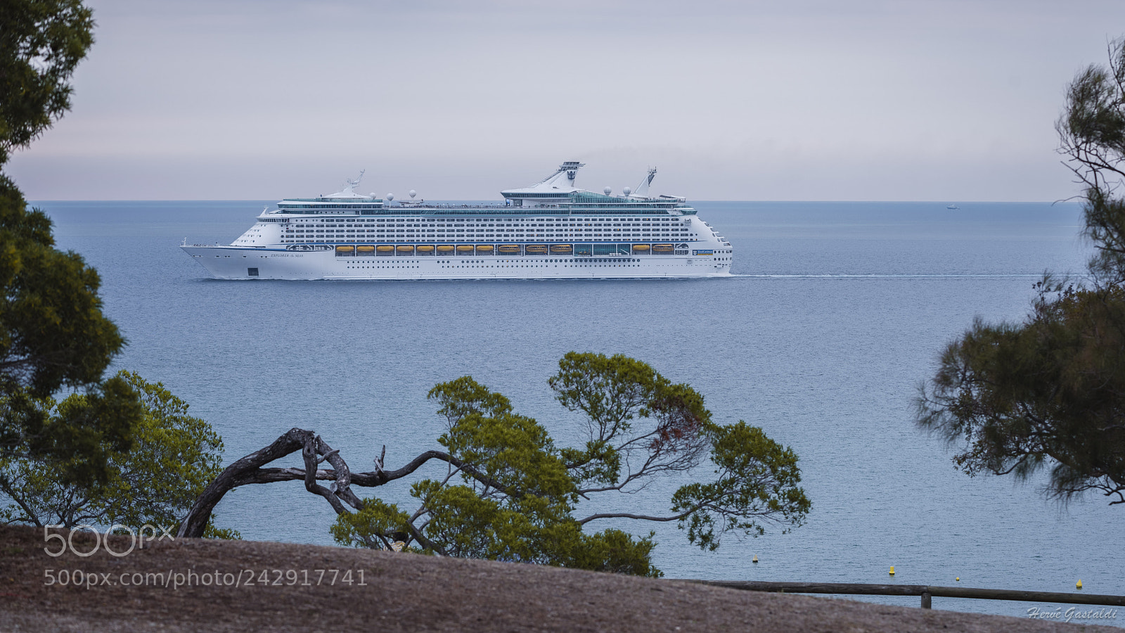 Nikon D810 sample photo. Untitled photography