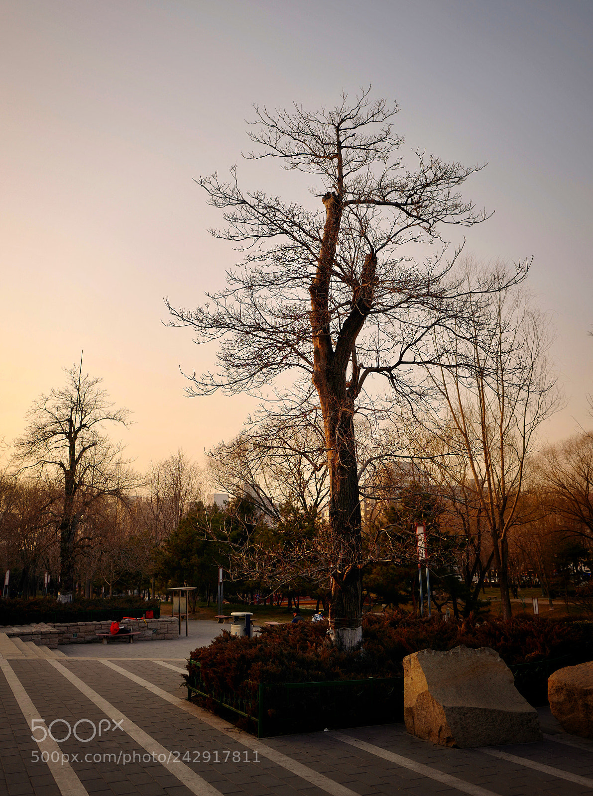 Leica Q (Typ 116) sample photo. Untitled photography
