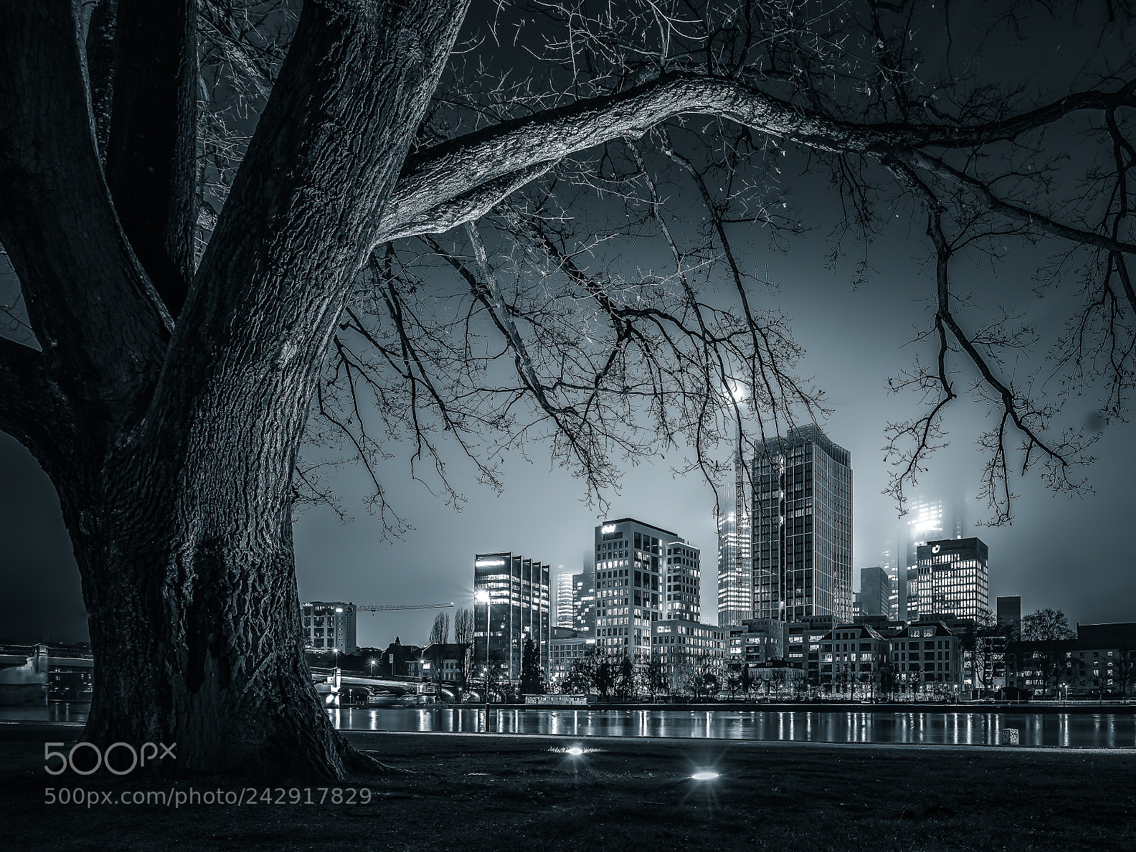 Sony a7R II sample photo. Frankfurt black & white photography
