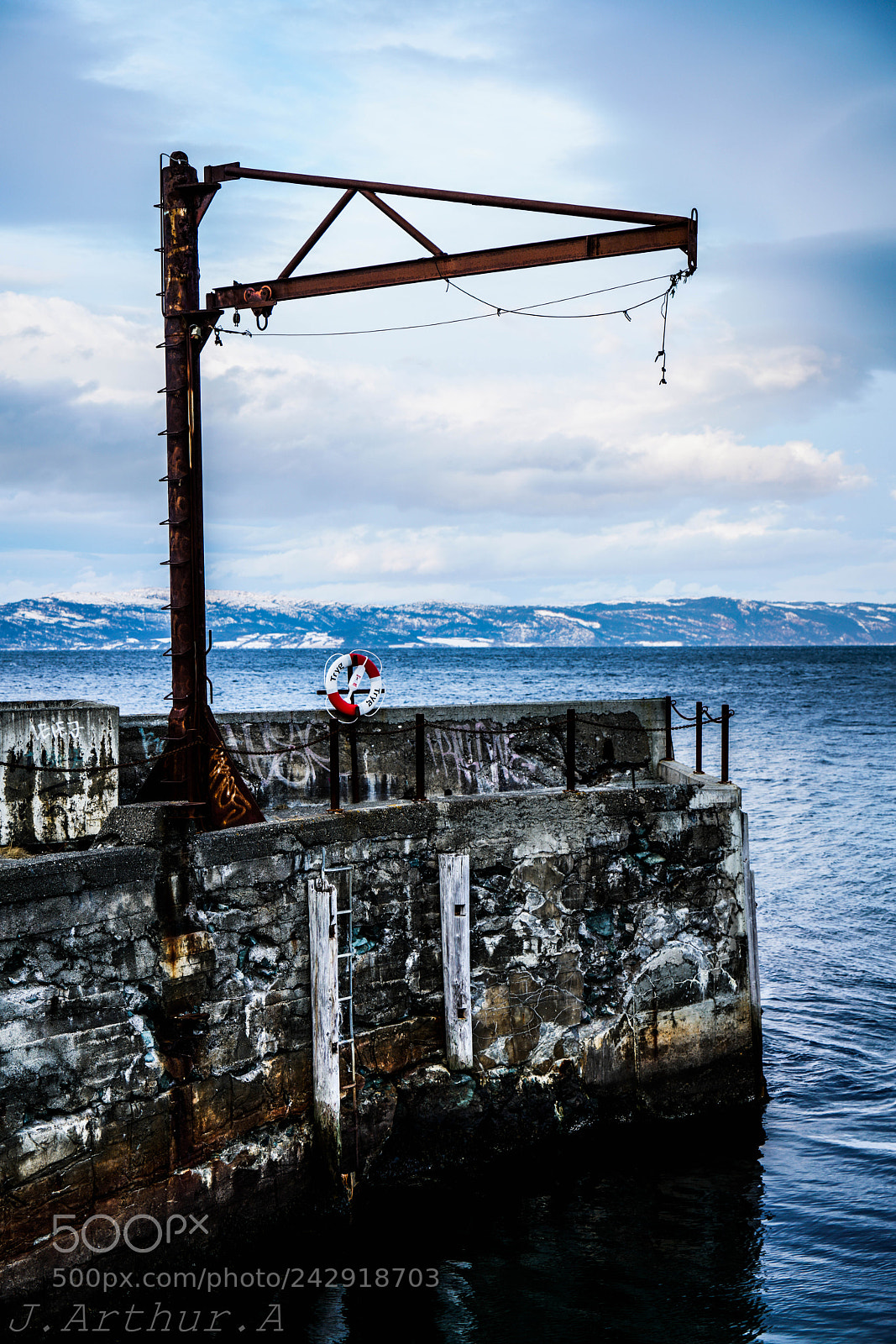 Sony a7R II sample photo. Crane photography