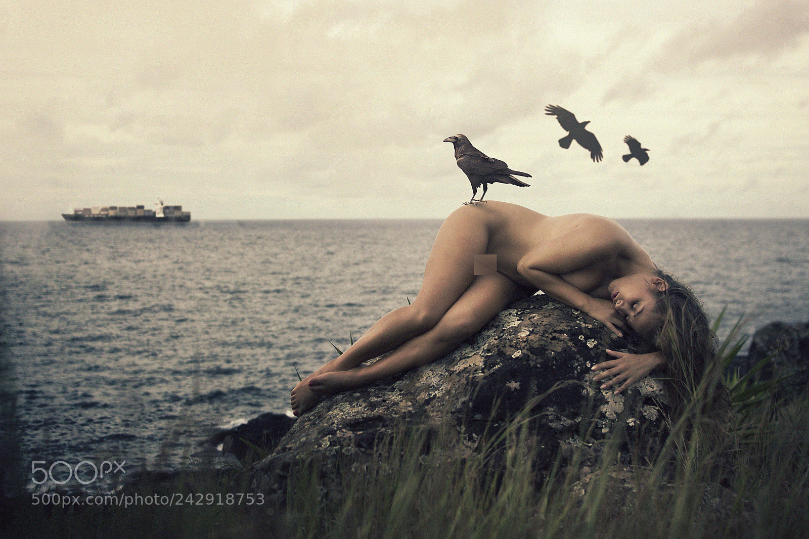 Nikon D7100 sample photo. Feast for the crows photography