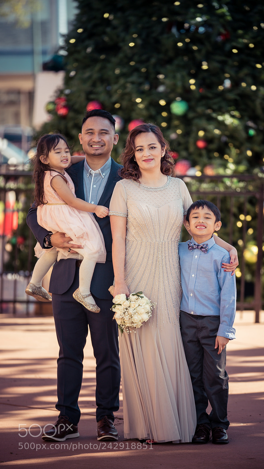 Sony a7S II sample photo. Dsc photography