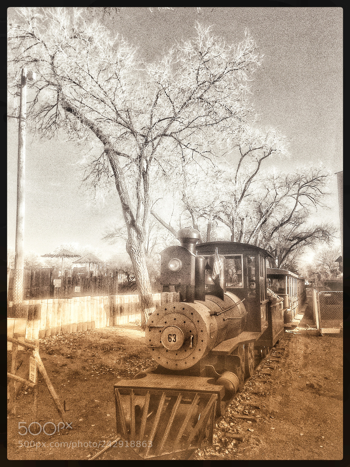 Apple iPhone 6 sample photo. Untitled photography