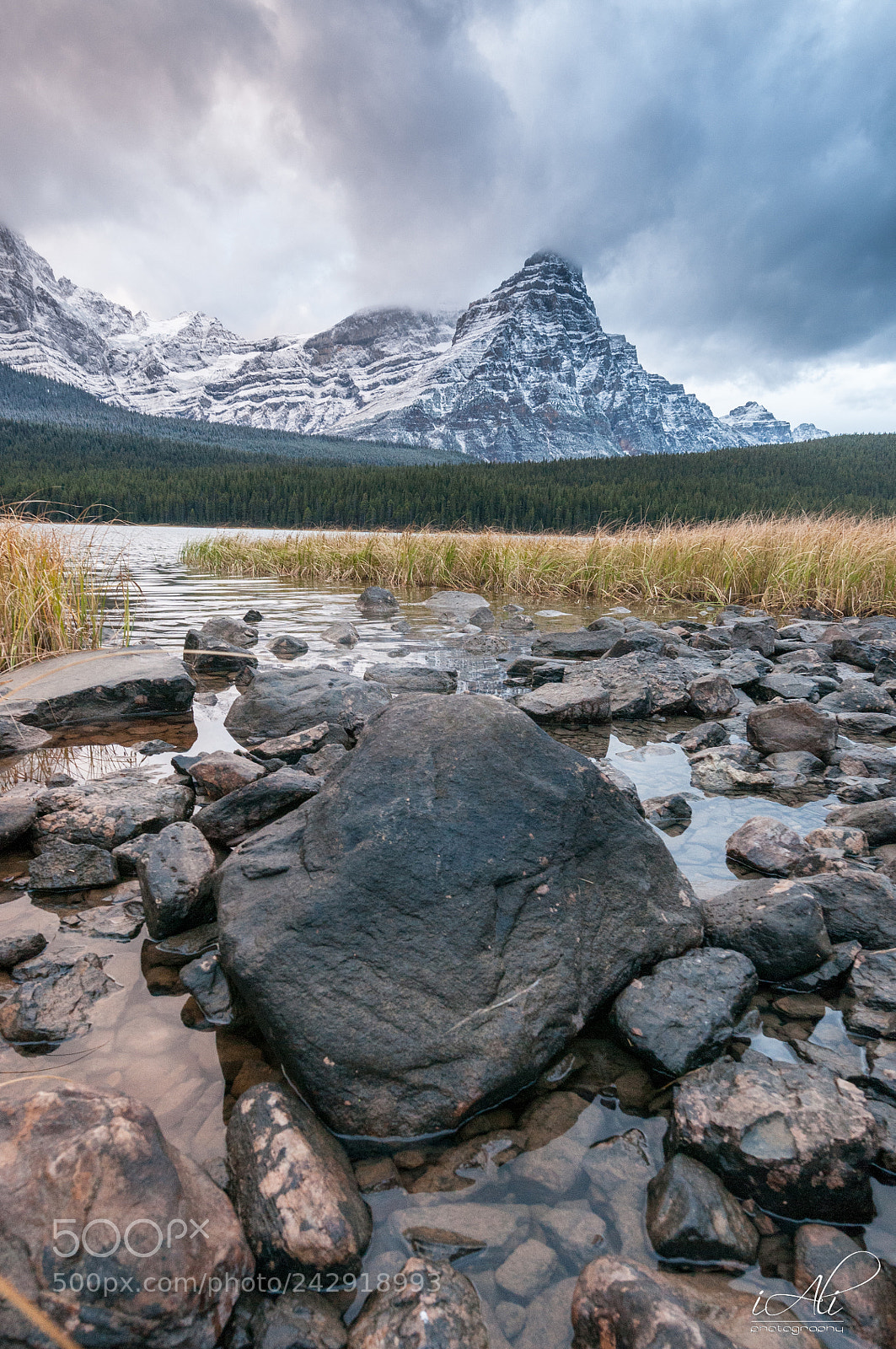 Nikon D300S sample photo. Canadian rockies photography
