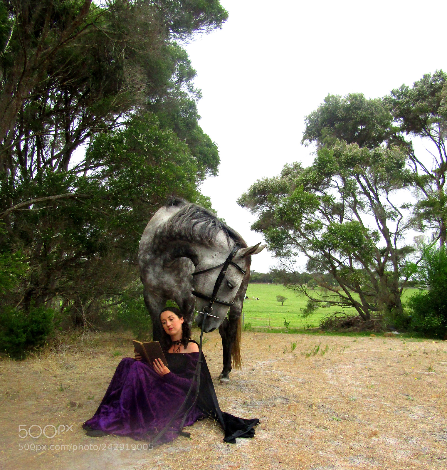 Canon PowerShot SX420 IS sample photo. Sharna and rufus photography