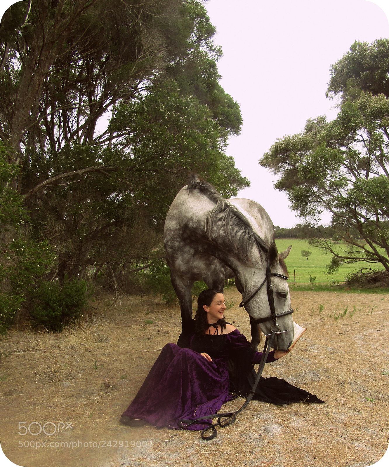 Canon PowerShot SX420 IS sample photo. Sharna and rufus photography