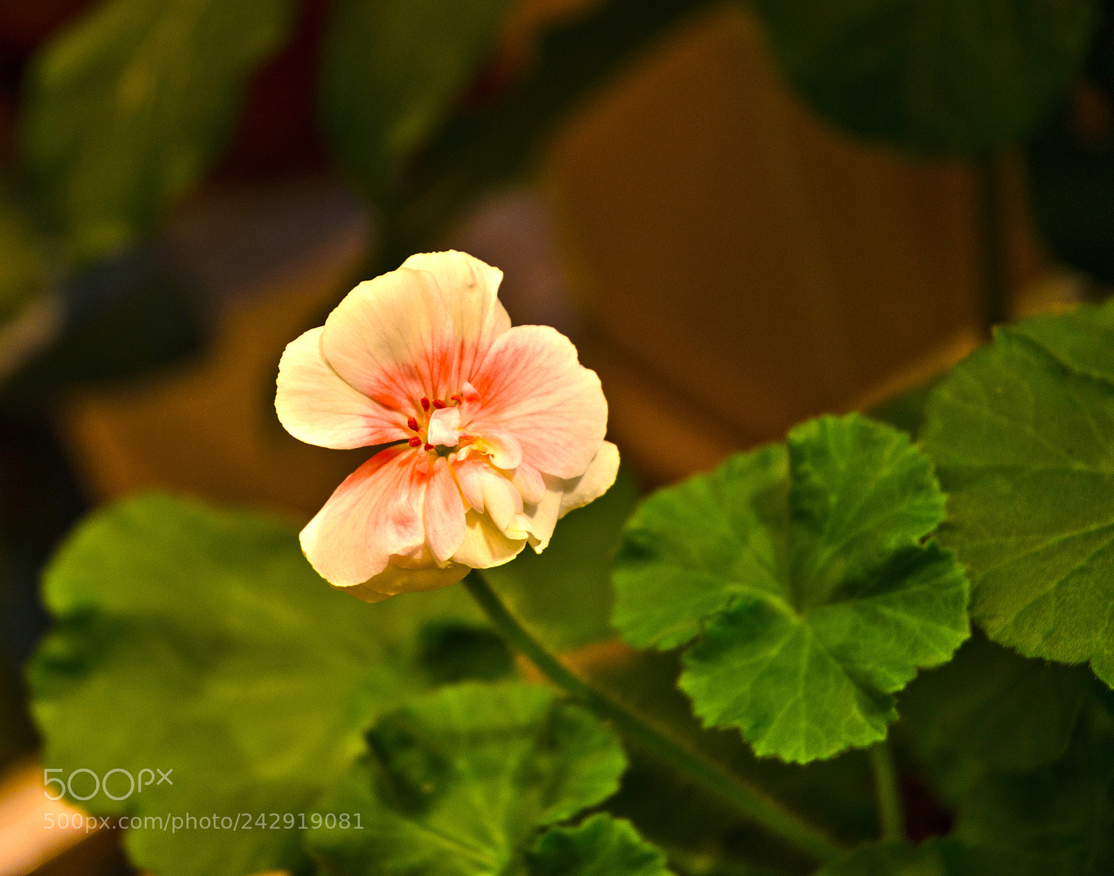 Nikon D5100 sample photo. 280 photography