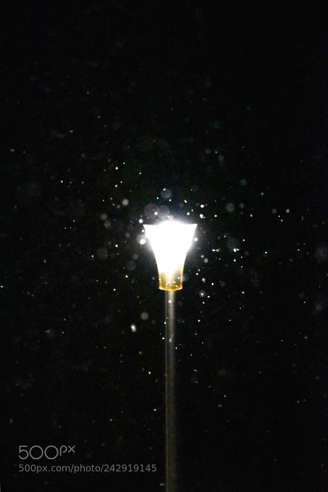 Nikon D5500 sample photo. Snow with the light photography