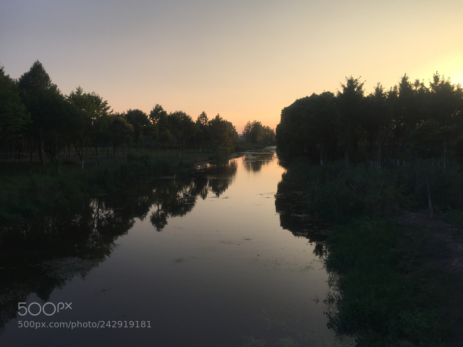Apple iPhone 6 Plus sample photo. Img photography