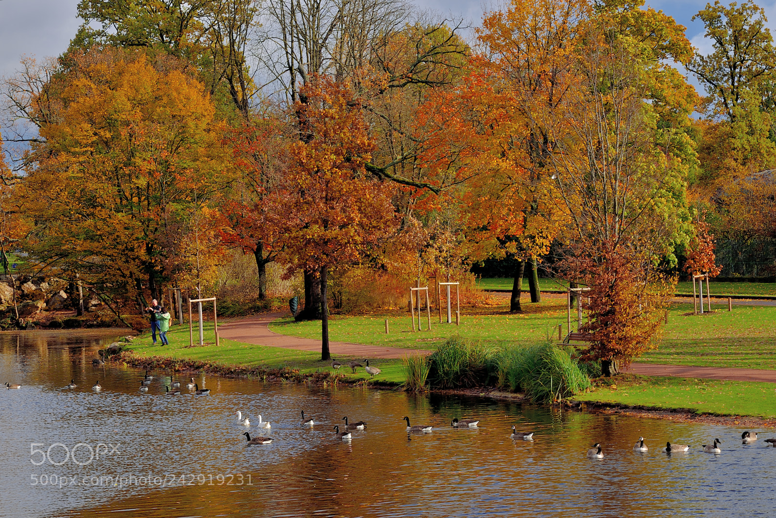 Nikon AF-S Nikkor 24-120mm F4G ED VR sample photo. Autumn photography