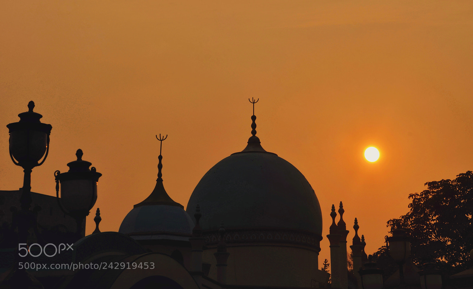 Nikon D5100 sample photo. Sun ball.(sunset) photography