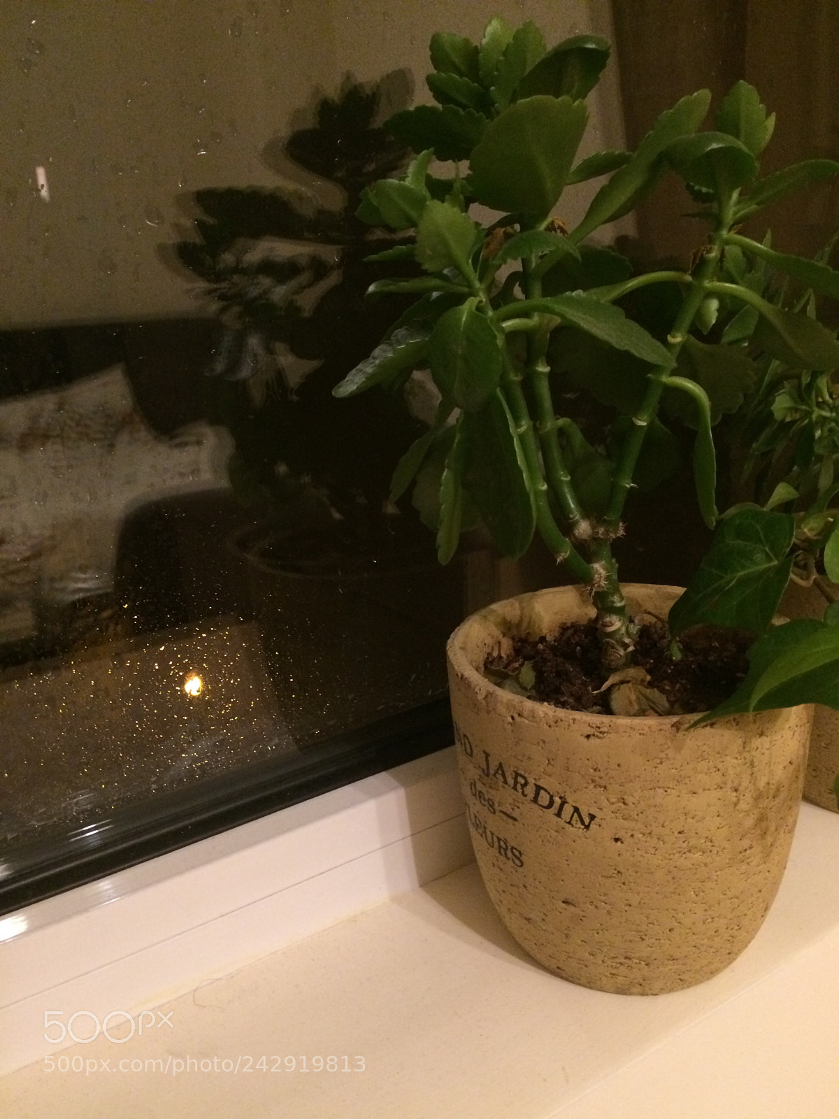 Apple iPhone 5s sample photo. A rainy night. photography