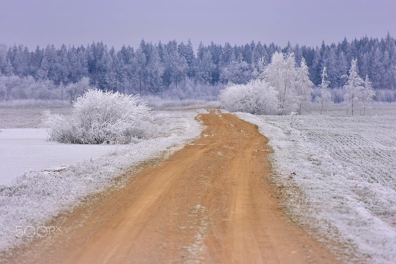 Nikon D3400 sample photo. Winter road photography