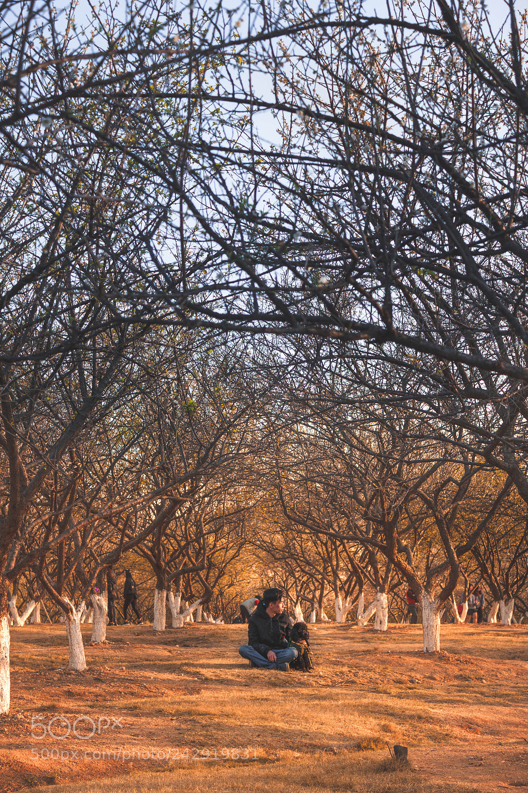 Canon EOS 60D sample photo. Sometimes all you need photography