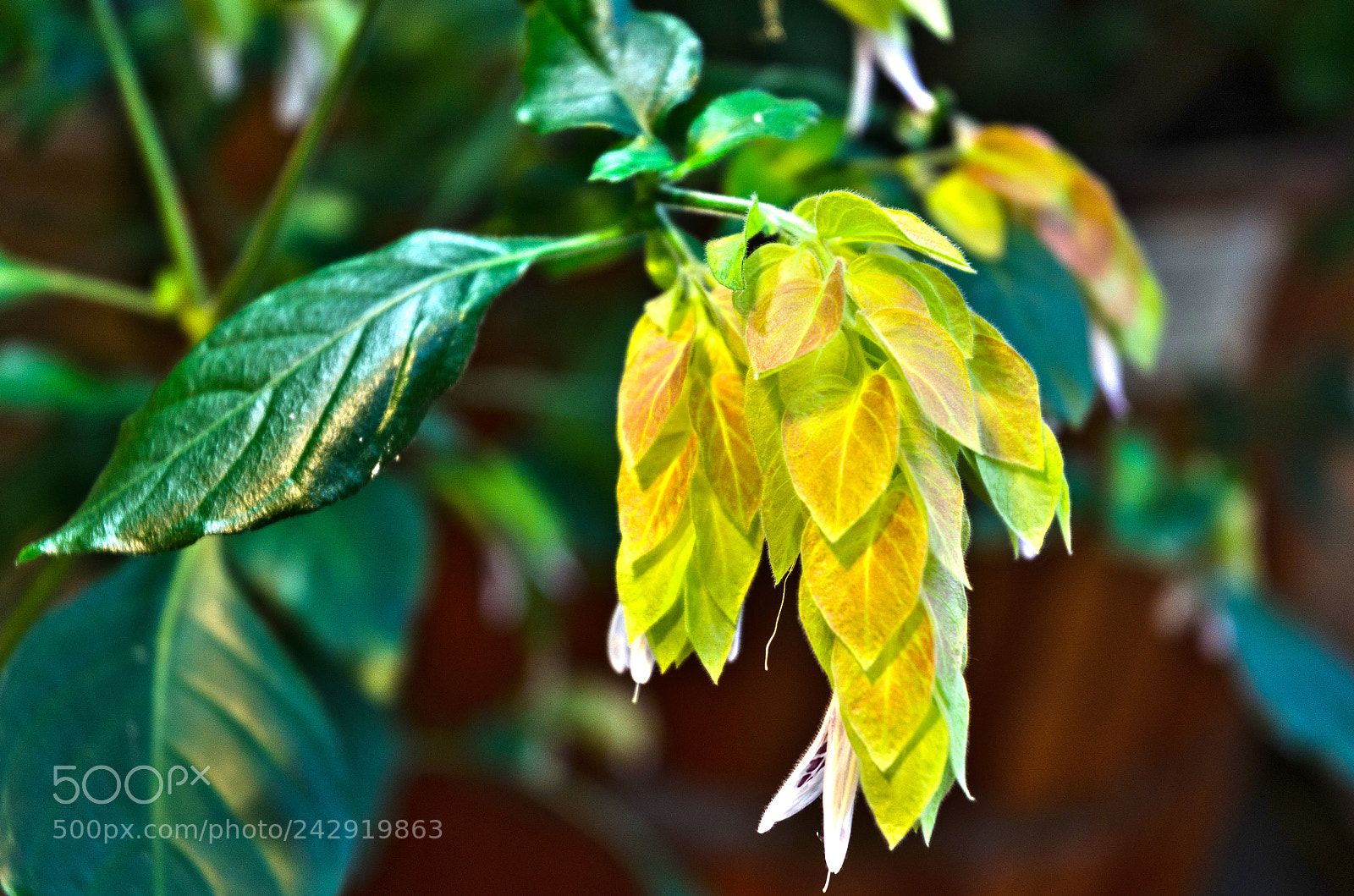 Nikon D5100 sample photo. 281 photography