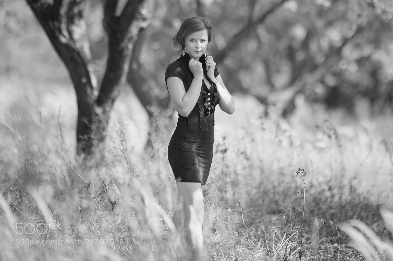 Nikon D4S sample photo. In the high grass photography